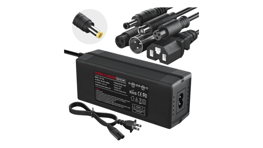 Charger for 48V Ebike Lithium Battery
