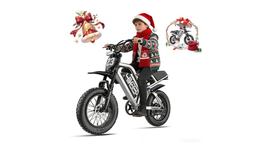 dual battery electric bike for adults