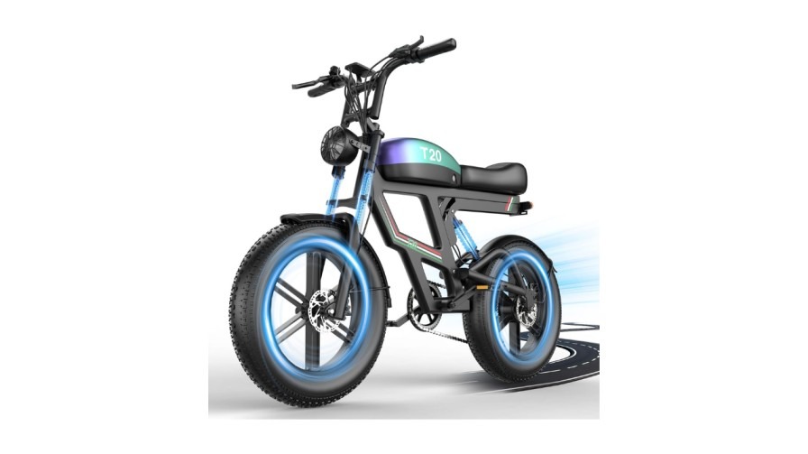 Dual Battery Electric Bike